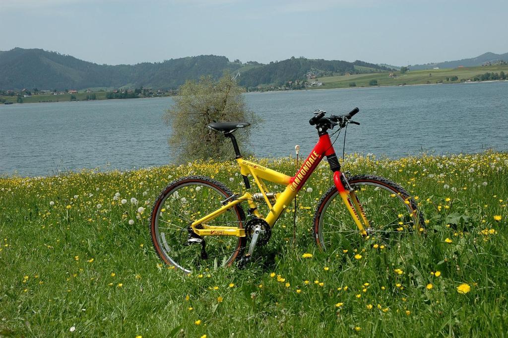 B&B Ferienhof Am See Willerzell Exteriör bild