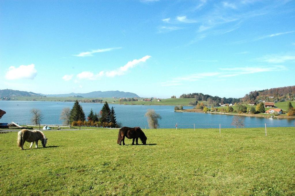 B&B Ferienhof Am See Willerzell Exteriör bild