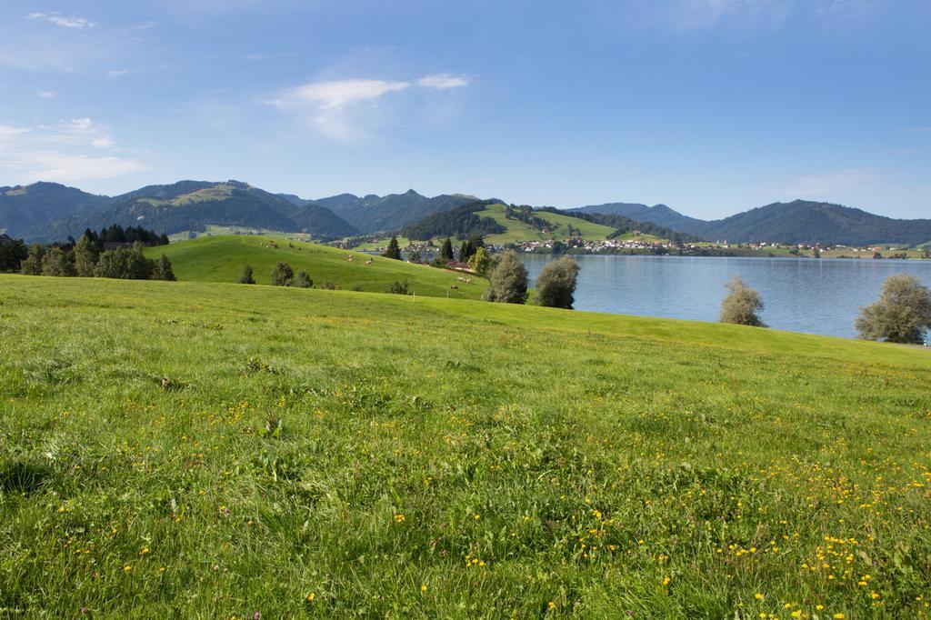 B&B Ferienhof Am See Willerzell Exteriör bild
